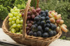 Глава «Массандры»: для крымского виноградарства наступает новый этап